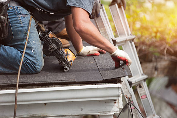 Best Roof Gutter Cleaning  in Dayton, TN